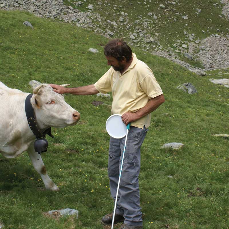 ALPAGE-012.jpg